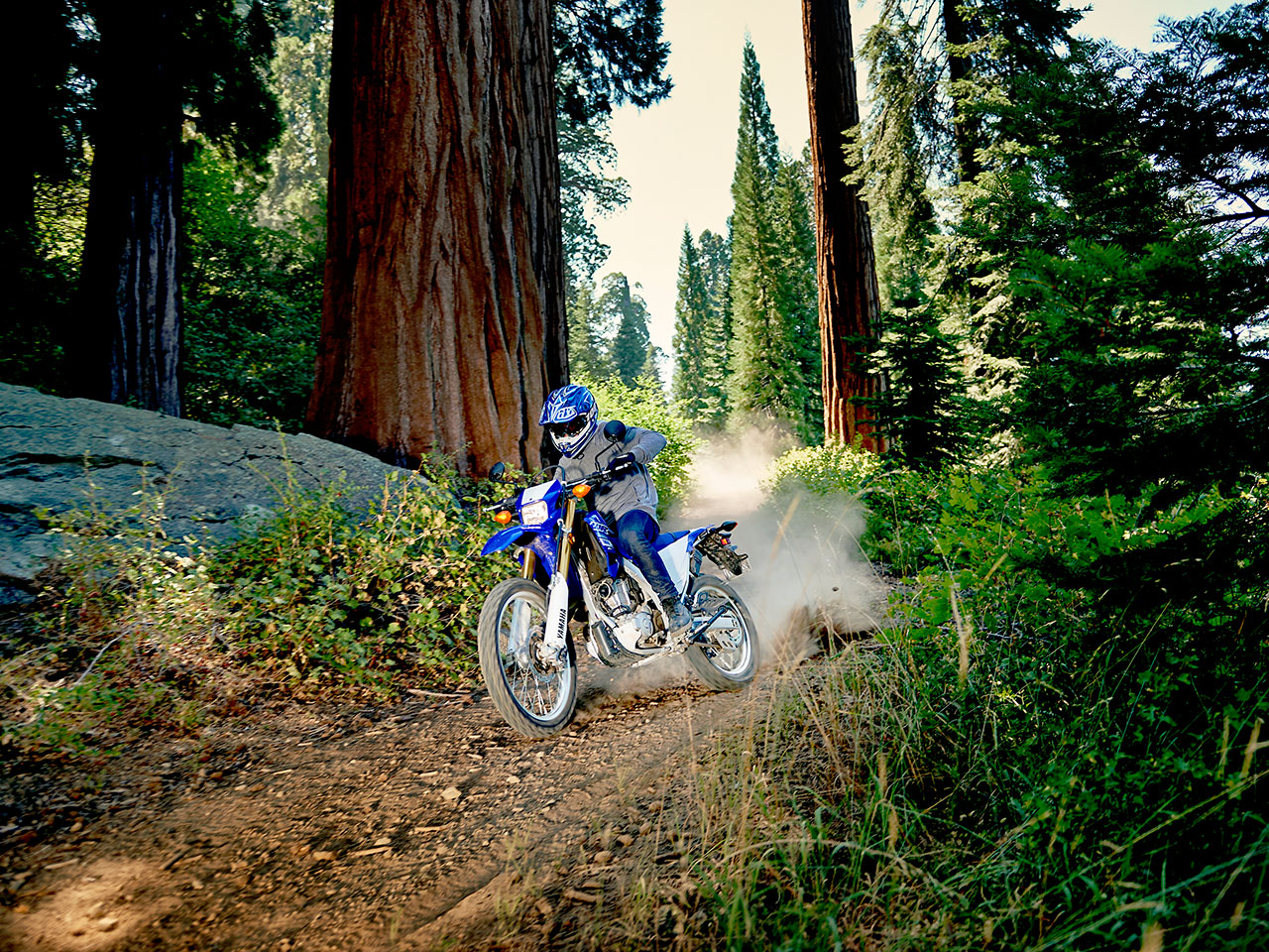 YAMAHA'S WR250R: TO BE REPLACED BY A WR300R? - Transmoto