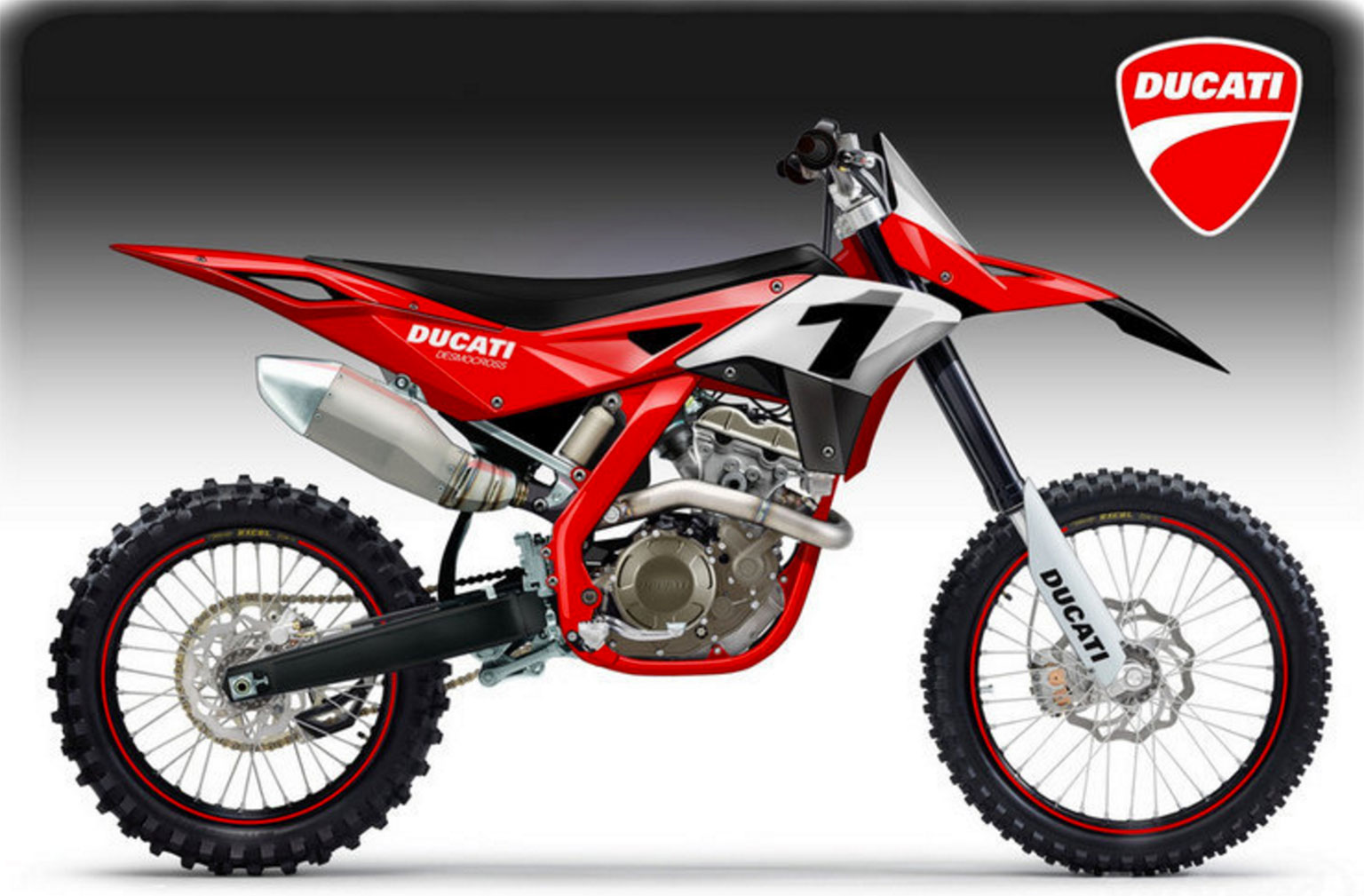 Ducati Dirt Bike 2024 Model - Pier Ulrica