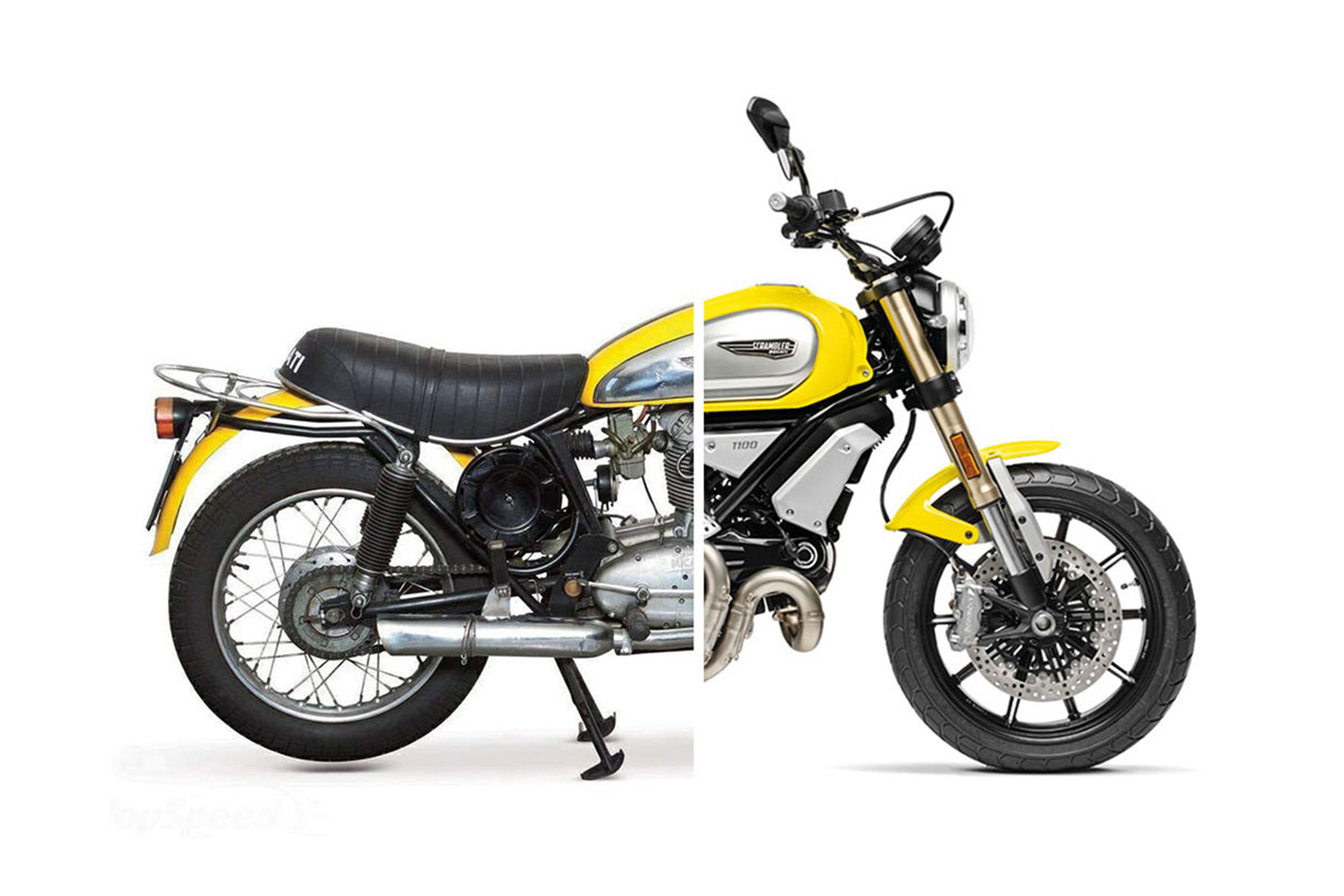 Ducati store scrambler 1960