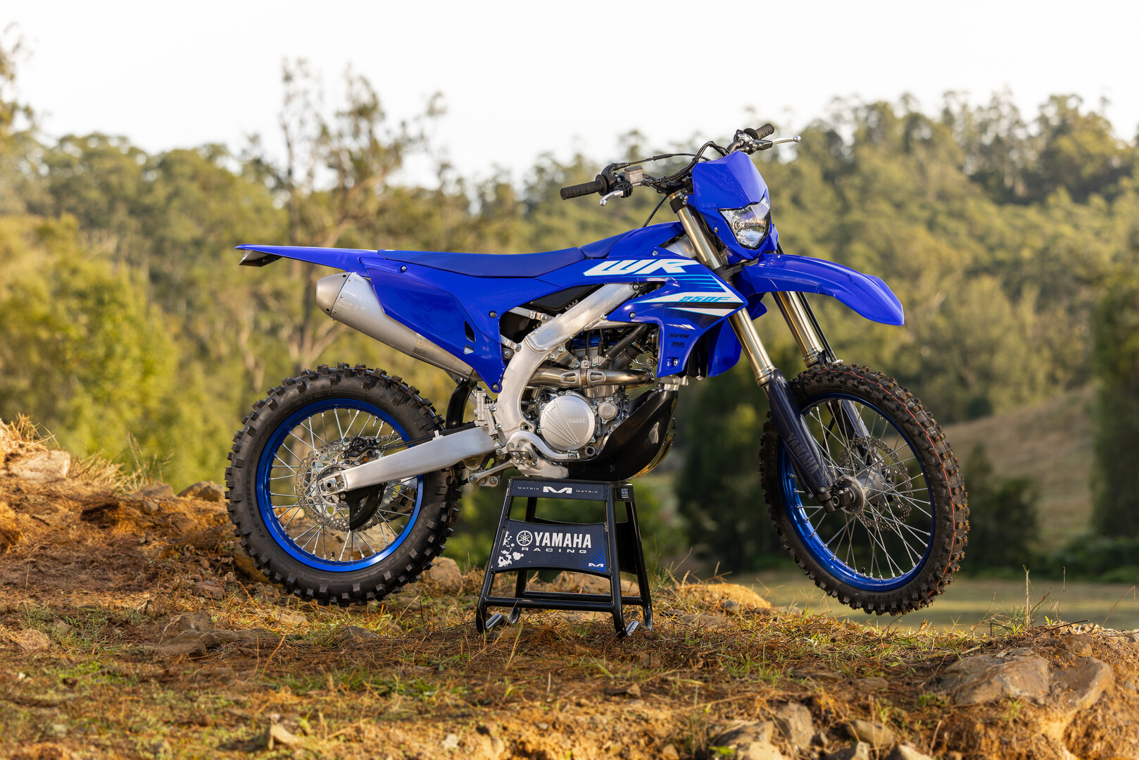 FIRST LOOK 2025 YAMAHA WR250F Transmoto