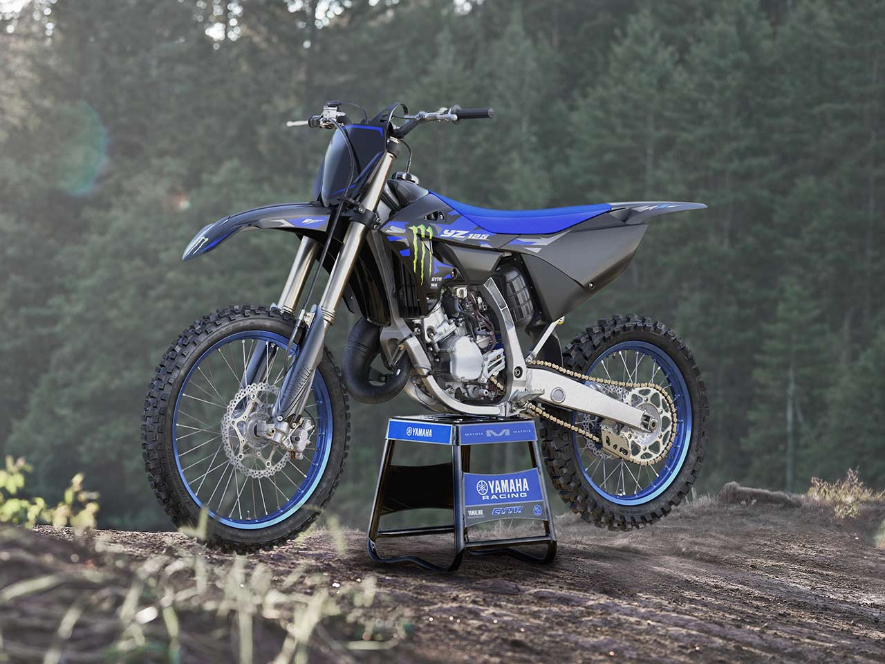 FIRST LOOK 2025 YAMAHA YZ TWOSTROKES Transmoto