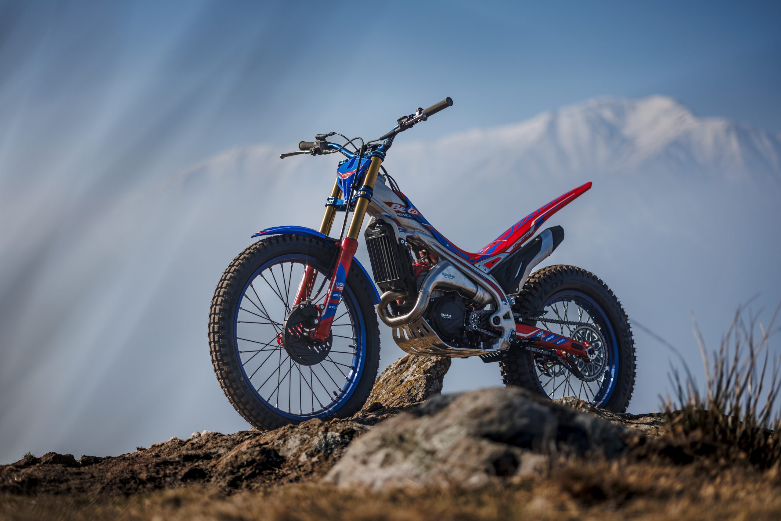 BETA MY26 SINCRO FACTORY RANGE - Transmoto